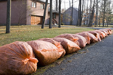 Municipal Composting, Ecological Inventory, Chlorine Cancer Risk, and other News Bits